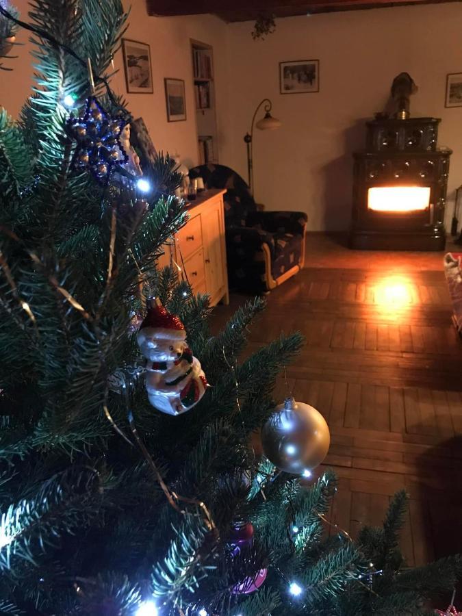 Venkovska Chalupa Jestrabi V Krkonosich Extérieur photo